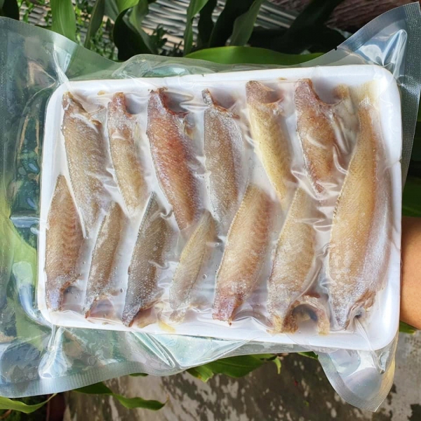 CÁ ĐÙ MỘT NẮNG SIZE 10 15 CON 1KG 500G