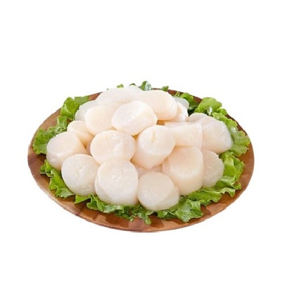 CỒI SÒ ĐIỆP ẨM THỰC TINH HOA NHẬT BẢN 1KG size 40 60