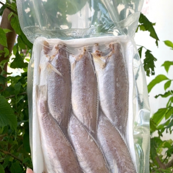 CÁ ĐÙ MỘT NẮNG SIZE LỚN 14 16 CON 1KG 500G